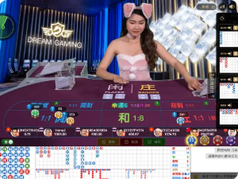 和信娛樂 DG 真人百家樂桌面與路紙